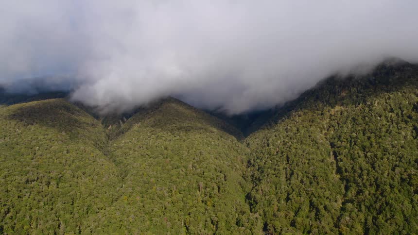 An aerial view of a mountain range with trees