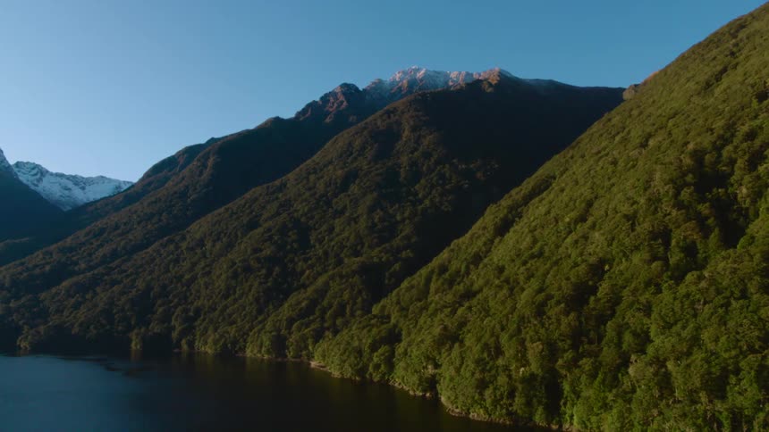 Aerial view of tree covered mountains is displayed