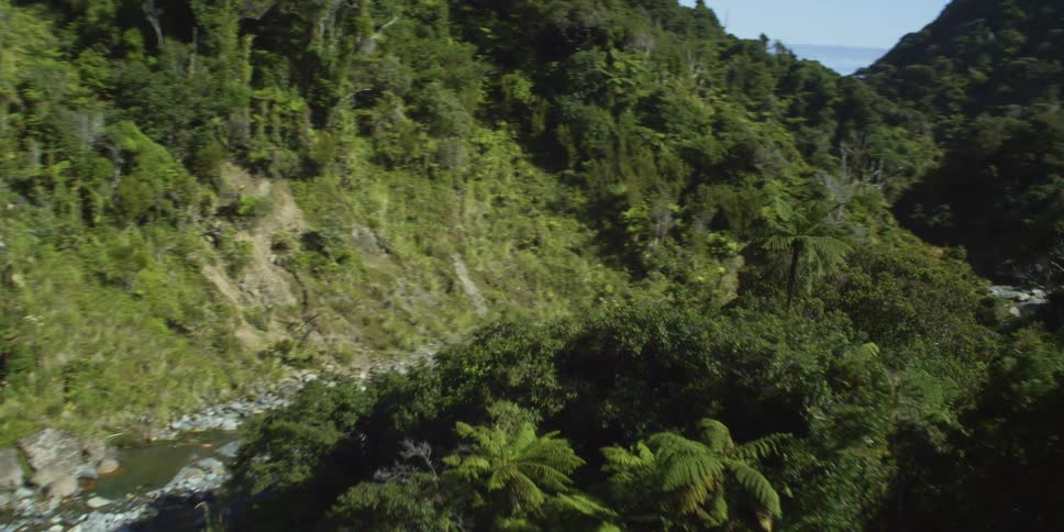 A shallow winding stream with trees and rubble