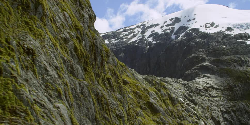 Moss grows on the side of a mountain as snow covers the peak