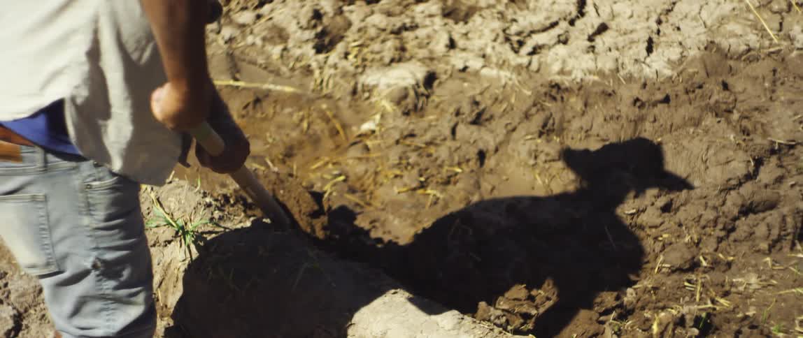 A view of a man digging in the soil outdoors