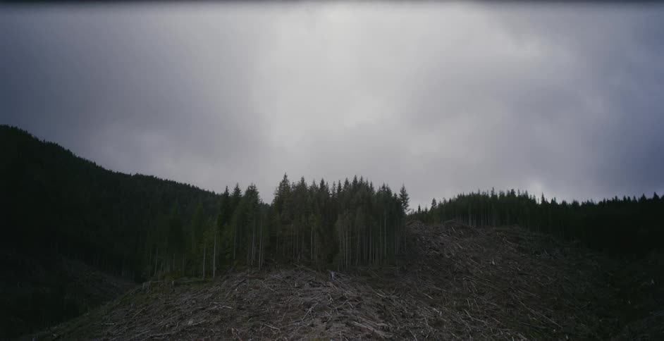 Area of trees on mountain slope against the cloudy sky