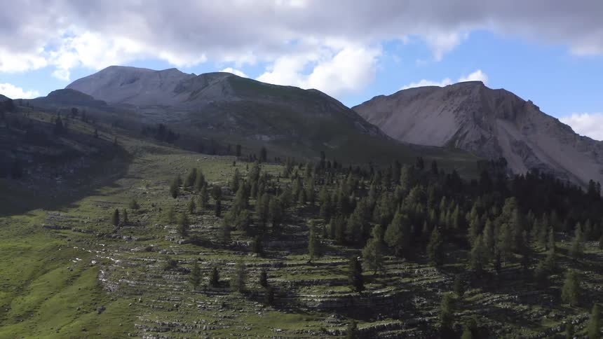 A patch of trees sits on a ridge below a mountain range