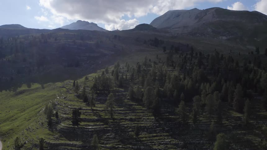 Trees sit along a ridge hill near a mountain range