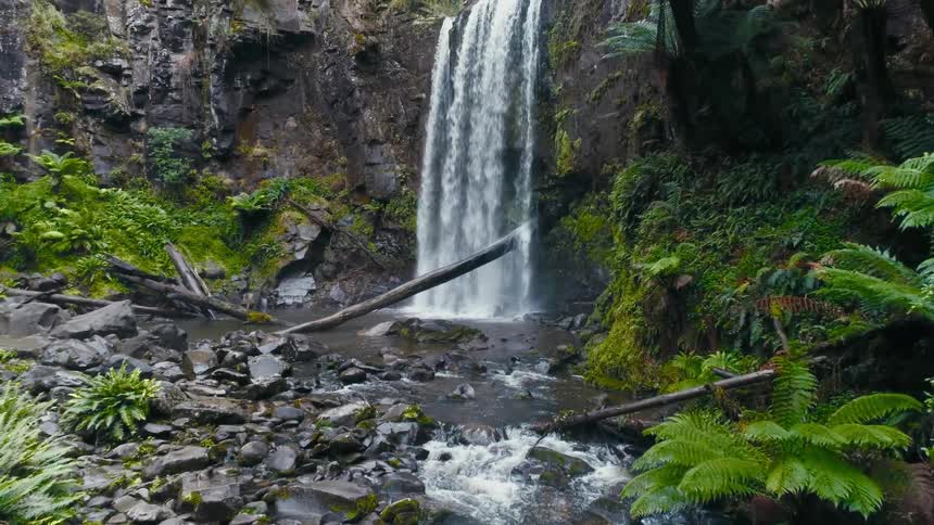 A view of a waterfall in a tropical forest