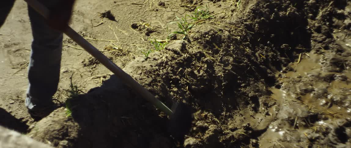 A man digs a hoe in the dirt