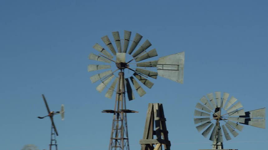 Tall metal windmills loom over a line of trees