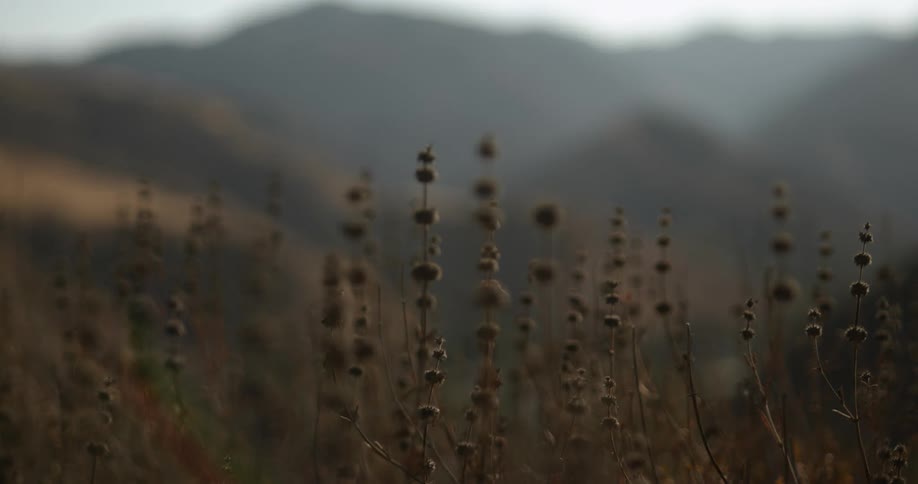 Heavy fog covers the mountain range