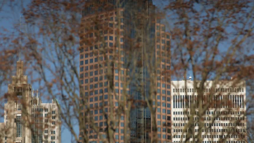The tree is in front of the tall buildings