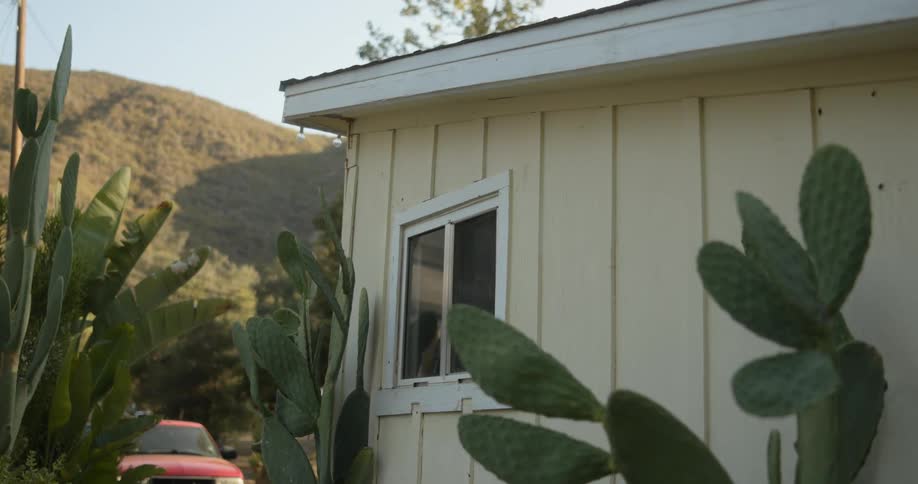 Cactus are outside of the home