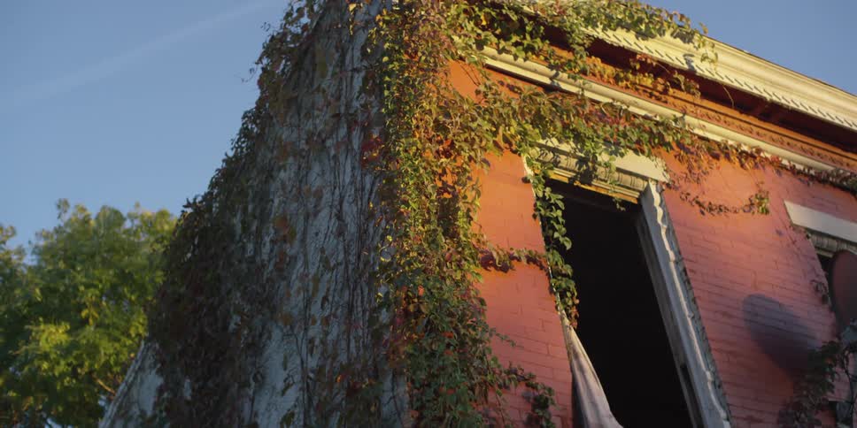 The side of a building is covered with vines