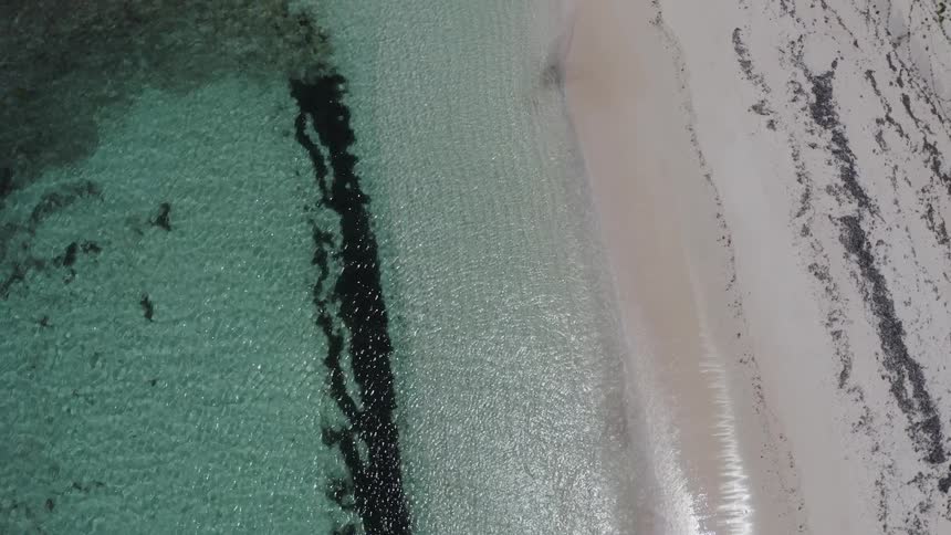 Gentle ocean waves roll into the sandy beach