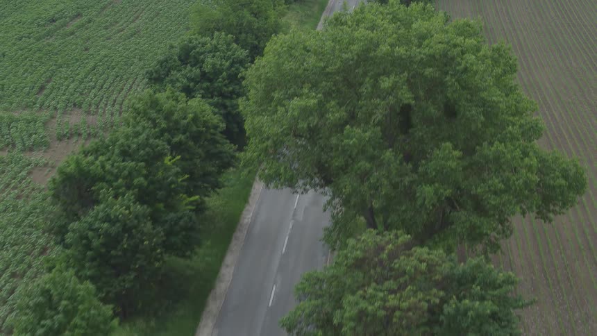 Three people race on motorcycles