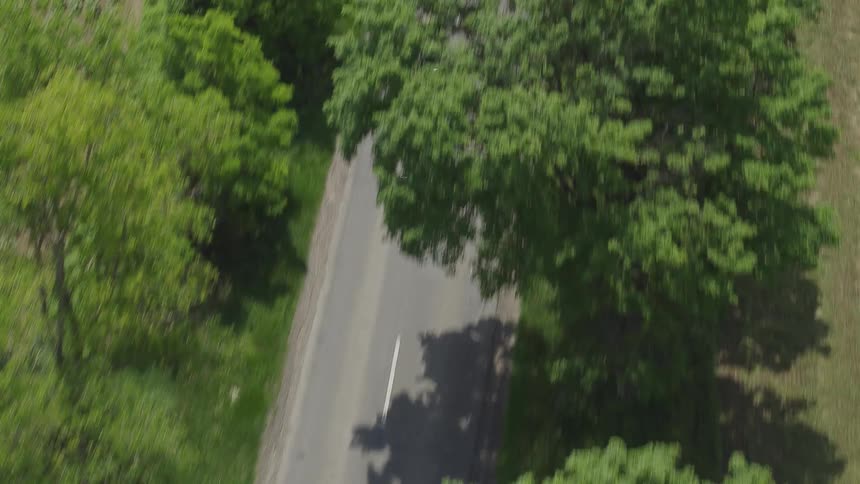 Trio of motorcyclist ride along road through crop fields and bordered by trees