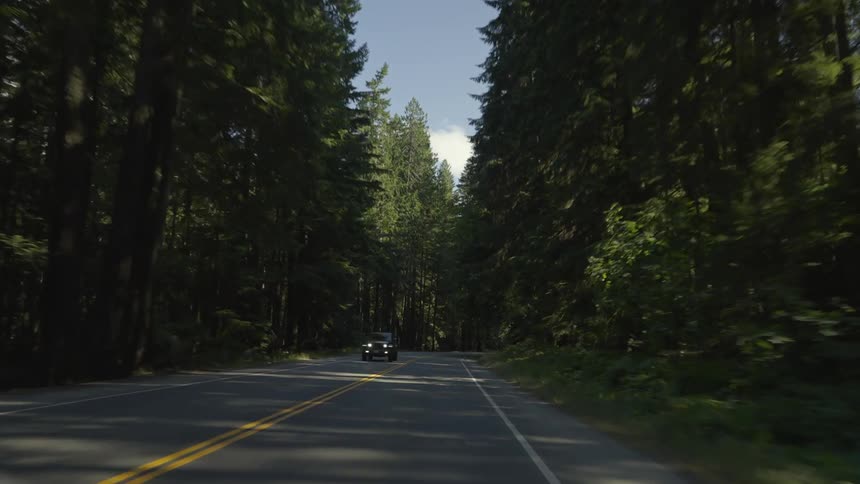 A car driving down a road in a forest