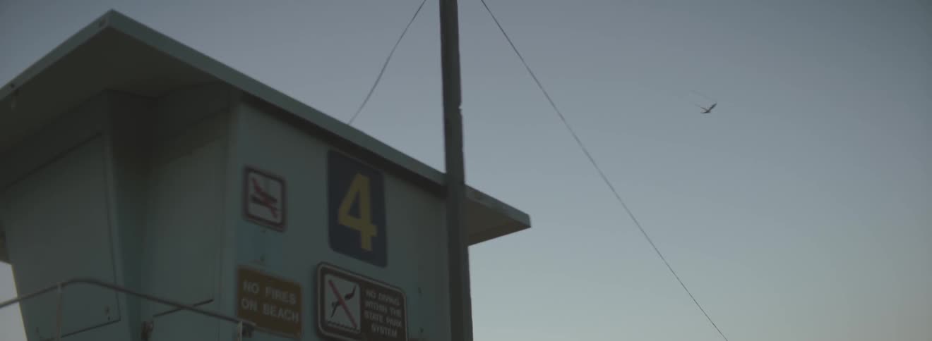 The side of a building has many signs on it
