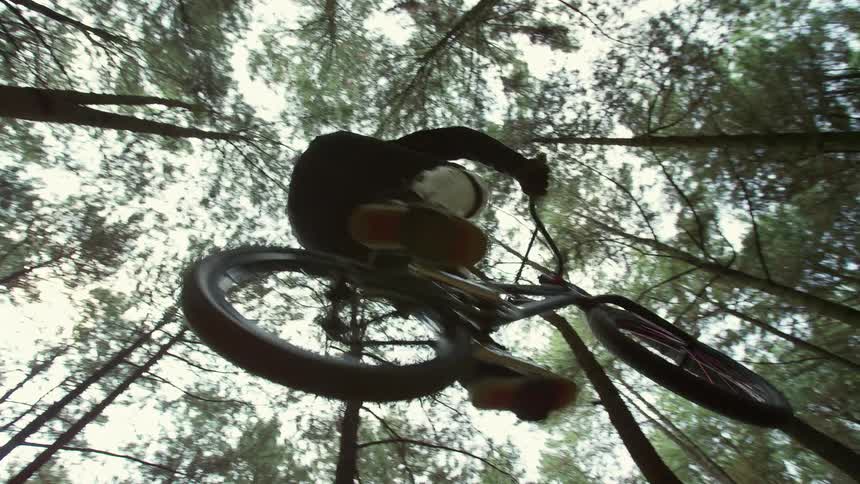 Straight up view of trees as a kid on a bicycle leaps across a ramp