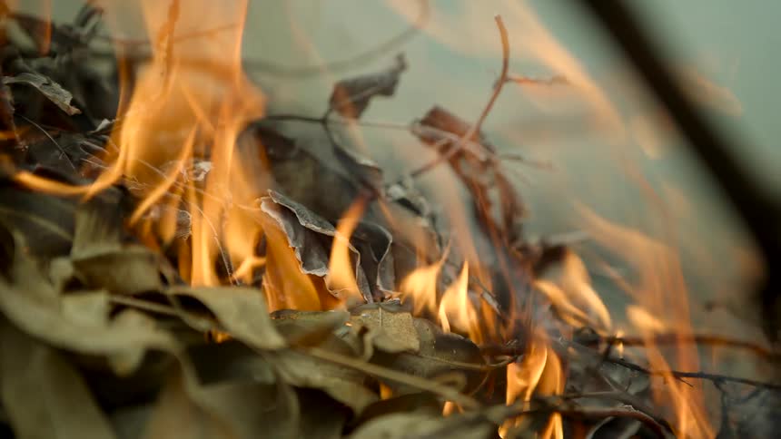 Pile of leaves burning
