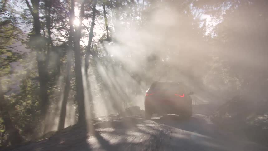 Red car driving on a dirt road through the mist in the forest at morning