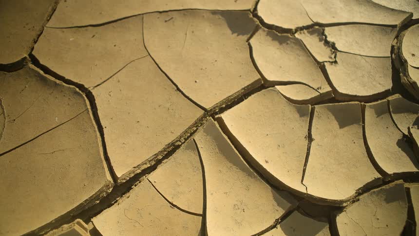 Dark crack and crevice form in arid ground
