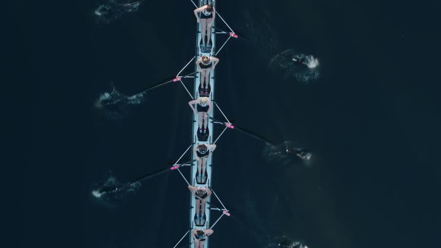 Rowing team rows boat over dark smooth water using black oars