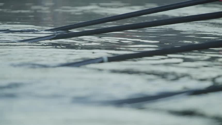 Black paddles on still water