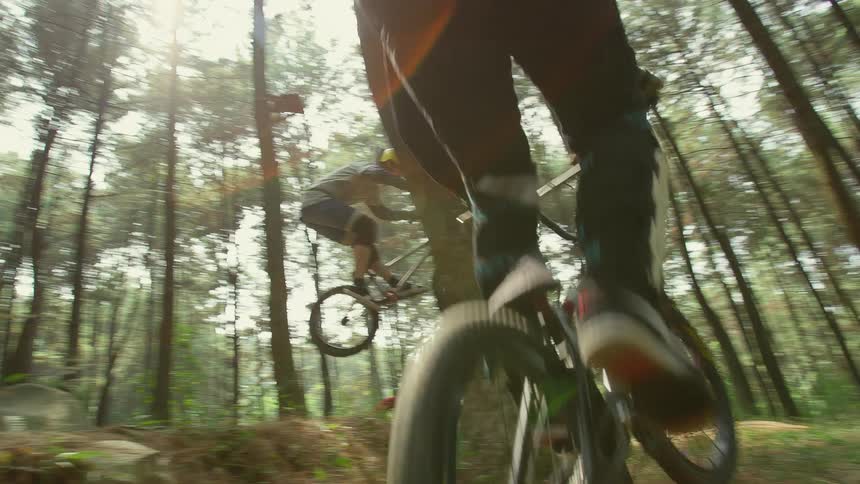 Cyclists jump over small hills in a forest