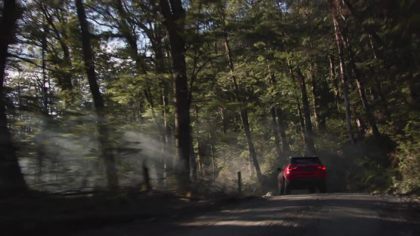 A vehicle travels a dirt road in a heavily wooded area