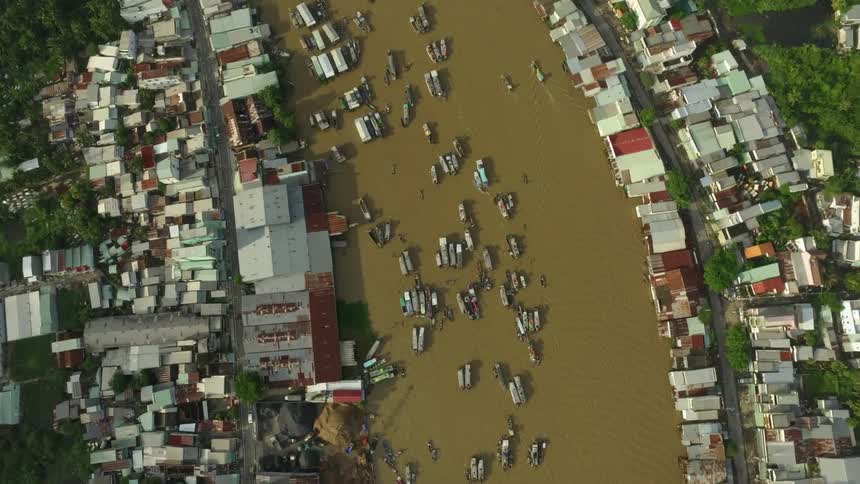 Boats cluster throughout river crowded by buildings surrounded by trees