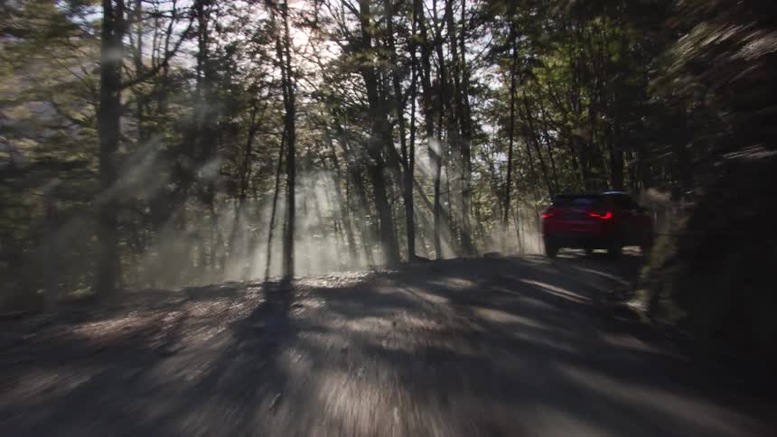 A vehicle travels along a gravel road through a woodland during the day