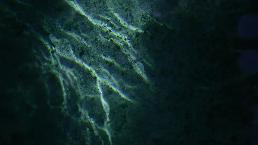 A view of light on ripples on the ocean