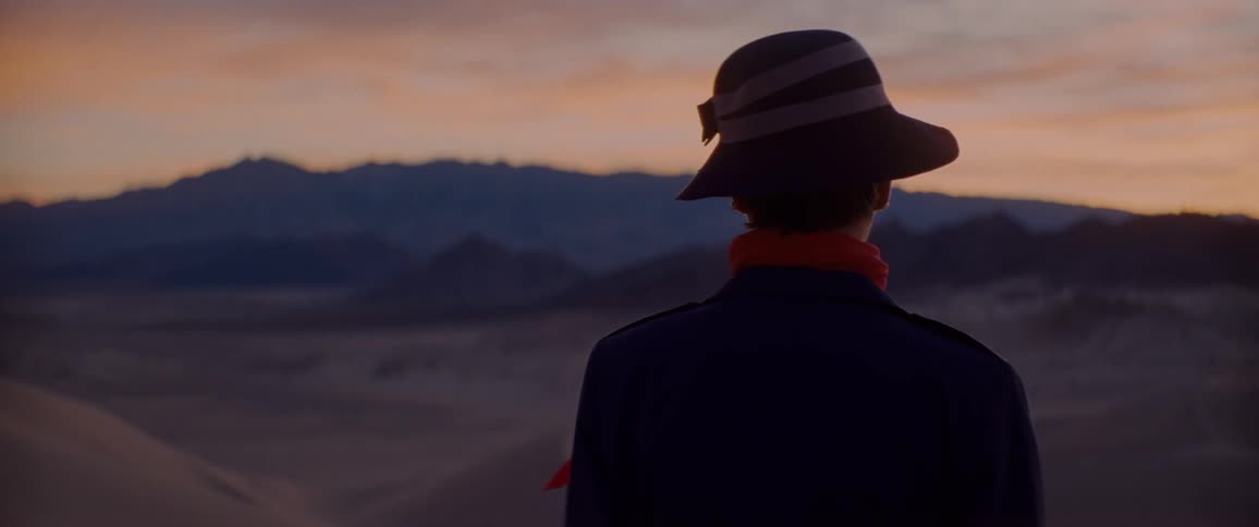 A woman dressed in a hat scarf and coat looking out at a barren landscape