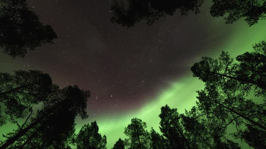 Northern Lights time lapse through a clearing in forest