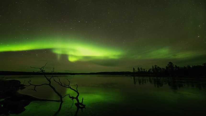 Time lapse of northern lights flickering over dead branches near a frozen lake
