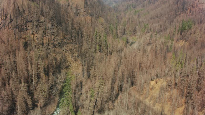 A landscape with a river surrounded by trees and hills in a forest