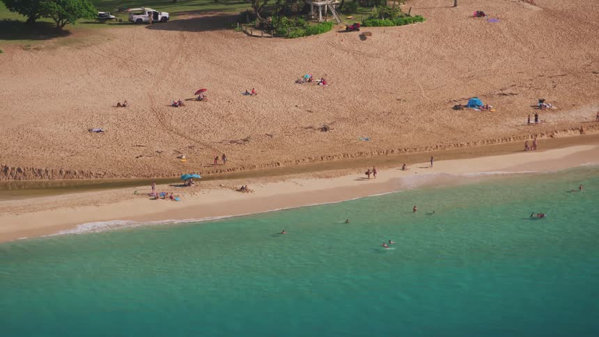 People swim and sunbathe and a dog plays fetch on the beach on a sunny day
