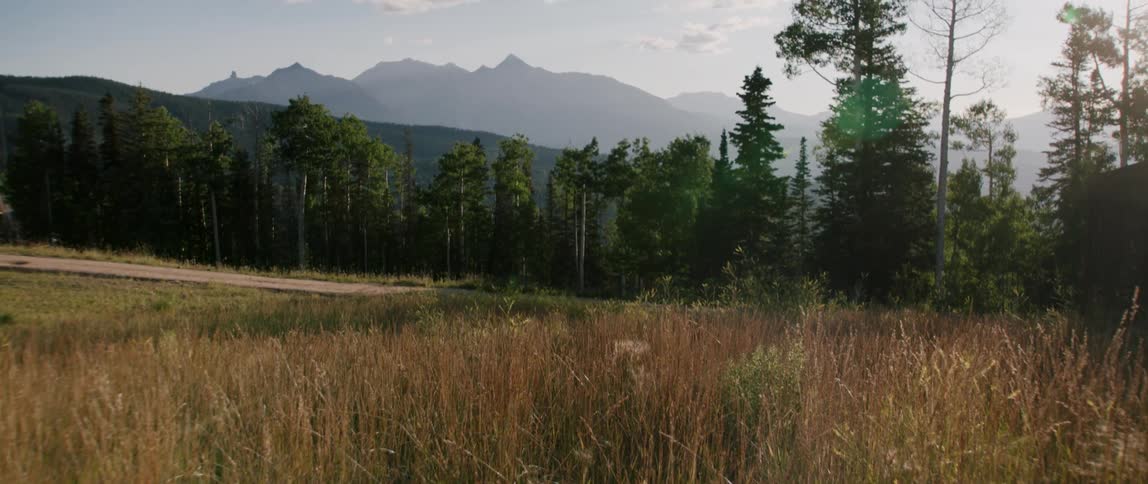 A grassy field with trees a mountain range the sky and clouds in the background