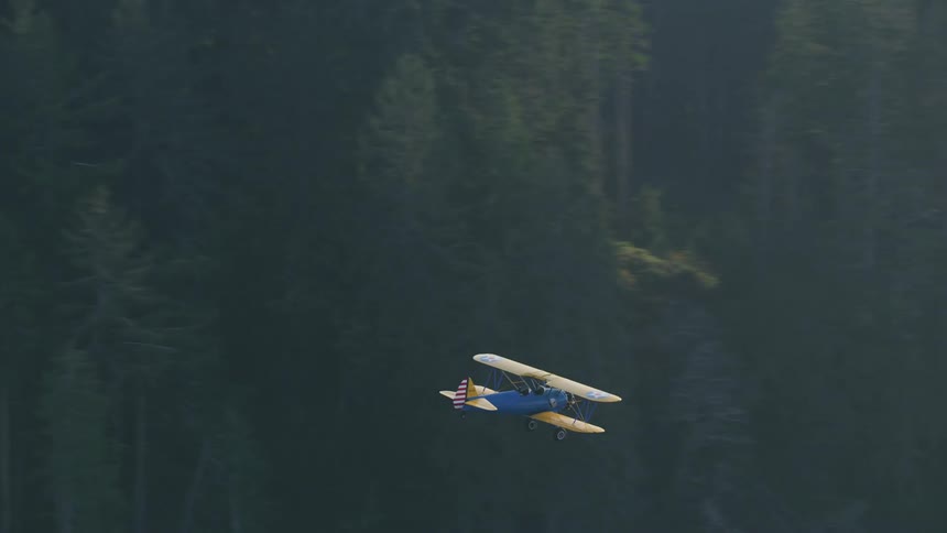 Colorful biplane flying over the pine tree forest near the beach