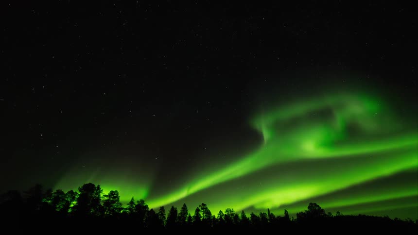 Wavy northern lights over a dark forest treeline