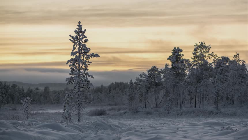 Time lapse of a snow covered field and forest at sunset