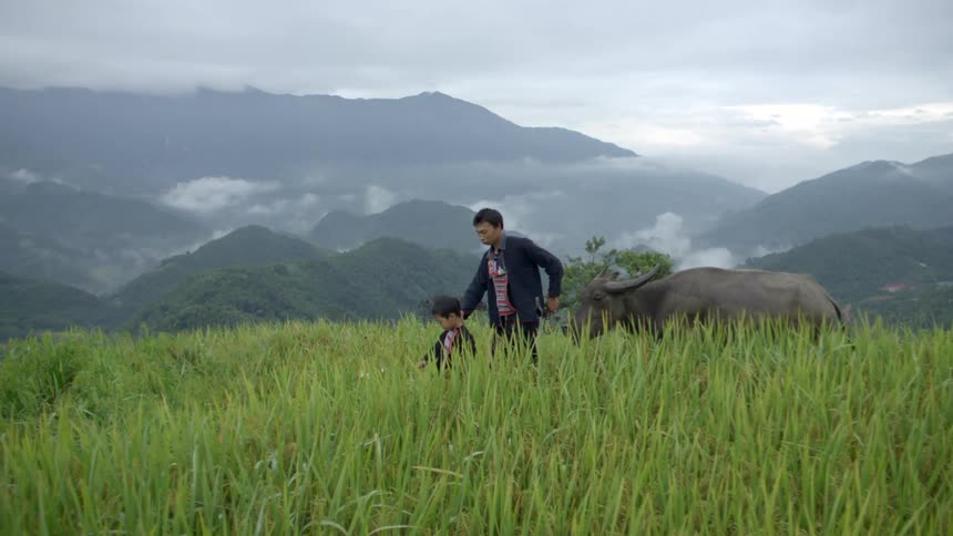 A man and his son walking outdoors with an animal