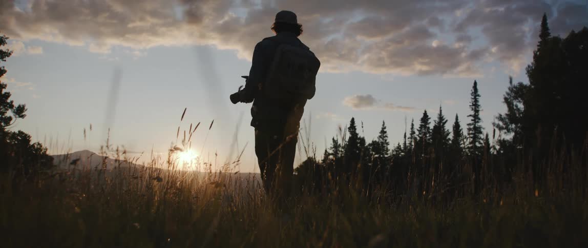 A man walks through some vegetation holding a camera