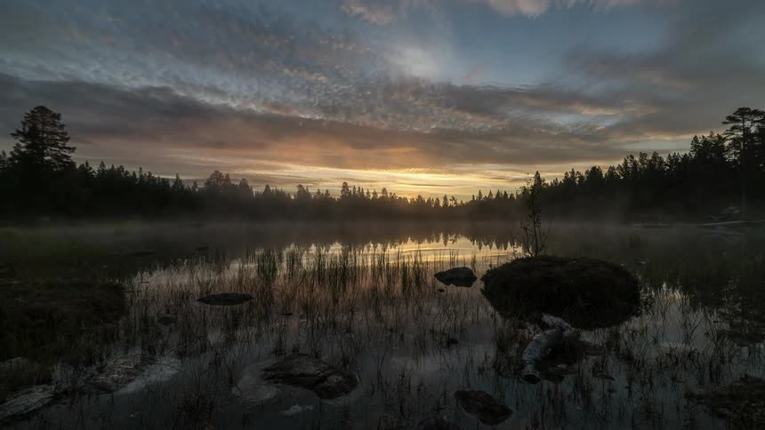 Time lapse of a sunrise over a foggy forest pond