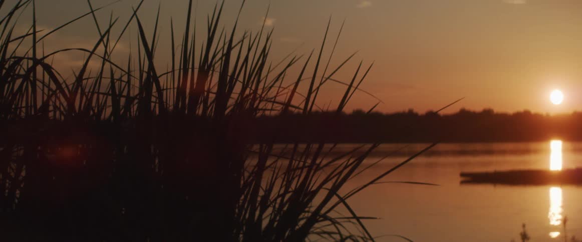 Tall grass near a lake moves in the breeze as the sun sets in an orange sky