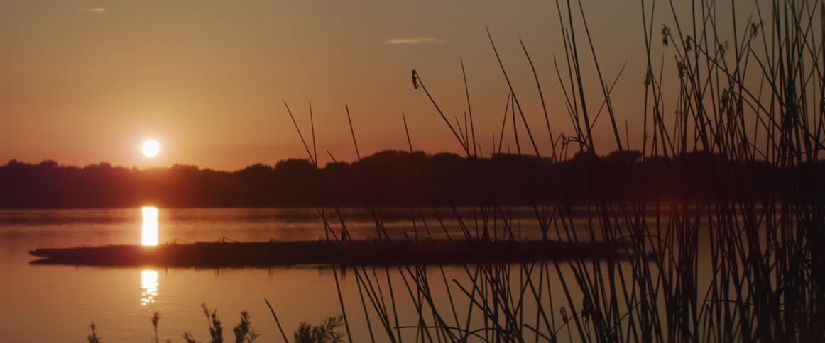 Land surrounding water