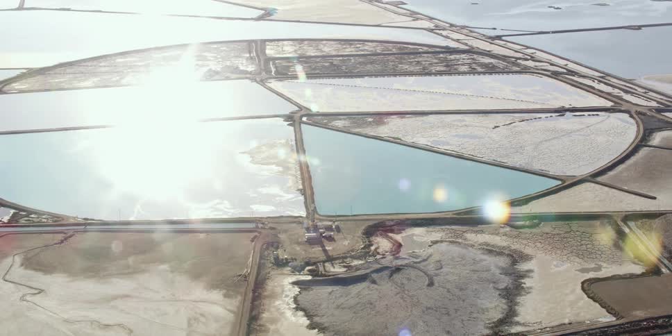 The fields below are in sections