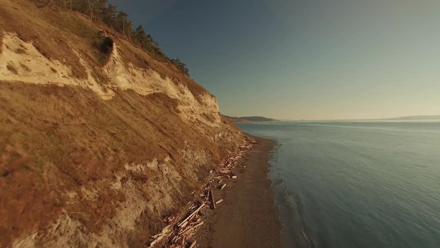 A coastline with pine trees and cliffs is littered with wood