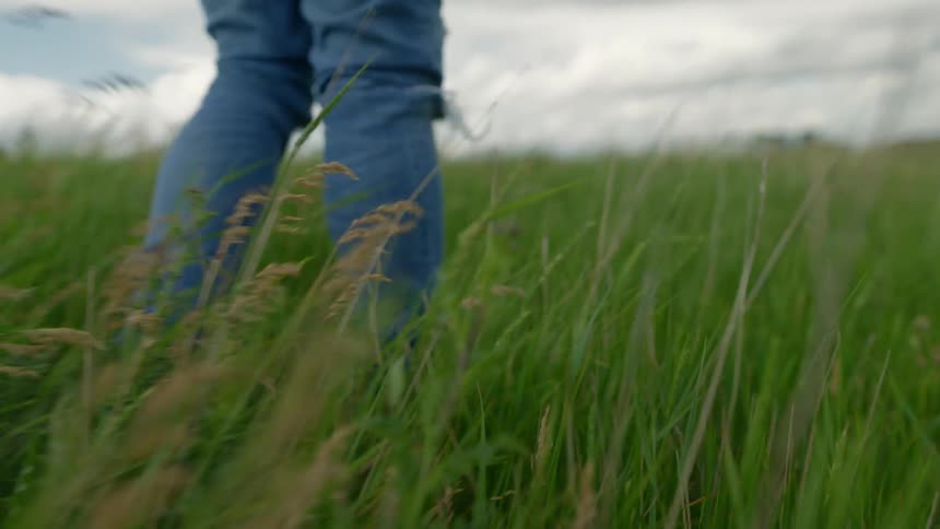 A person walks through a grassy field