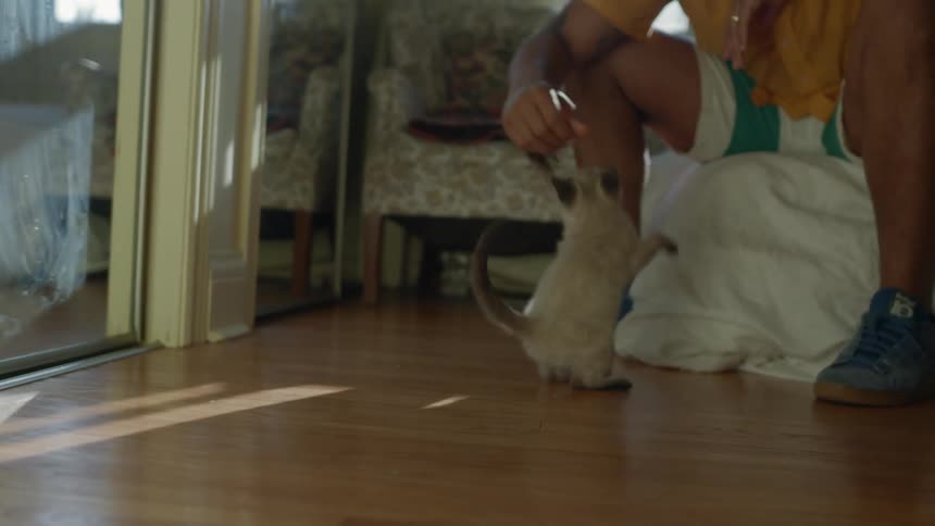 A man plays with a cat while sitting on a bed indoors during the day