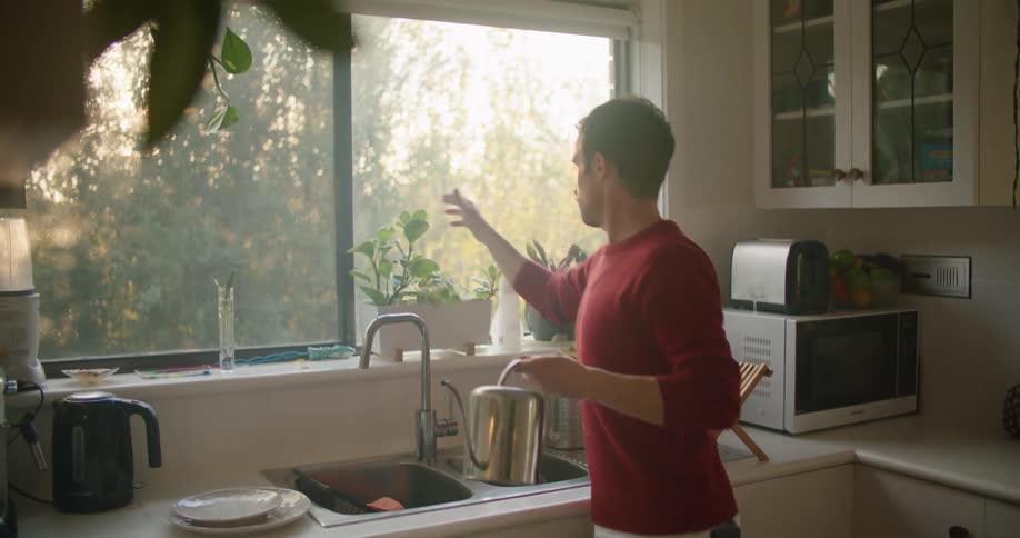 A man is watering plants in his kitchen during the early morning